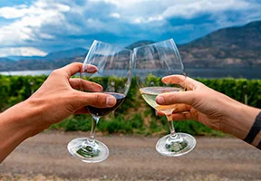 Par som skåler i vin i Okanagan-dalen i Canada