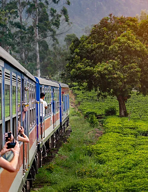 Togreise fra Nuwara Eliya til Kandy gjennom teplantasjene i høylandet på Sri Lanka