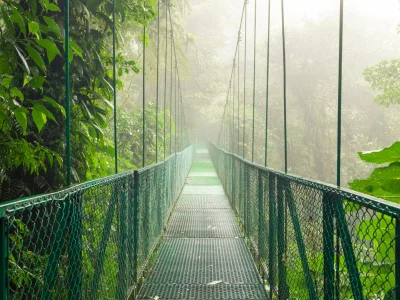 Hengebro i Monteverde