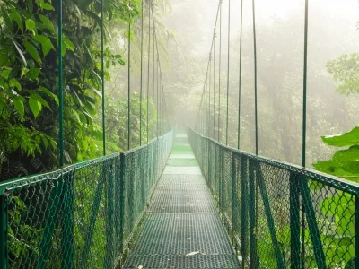 Hengebro i Monteverde