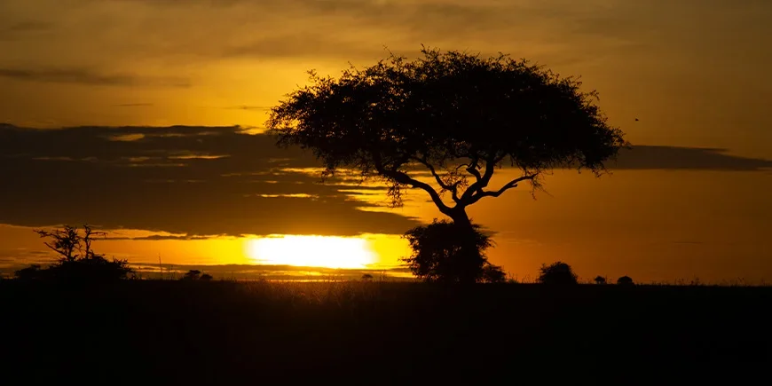 Soloppgang over Serengeti i Tanzania