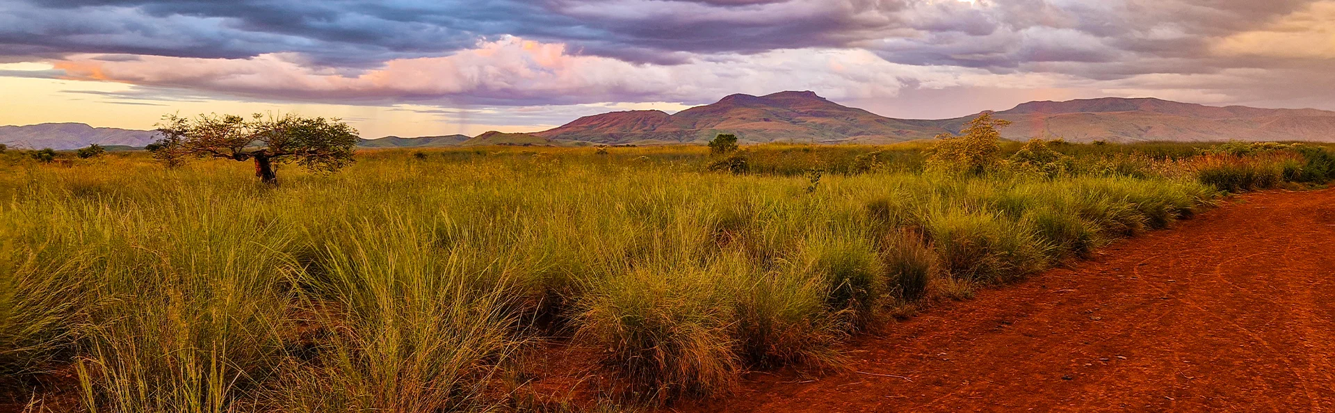 Rødlig savannelandskap på Madagaskar