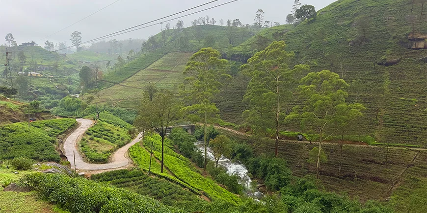 Det vakre høylandet i Sri Lanka
