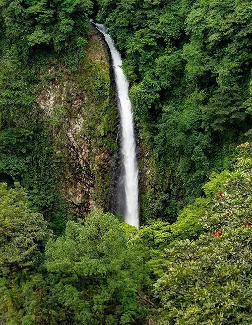 Høyt vannfall fosser ned gjennom tett, frodig regnskog i Costa Rica