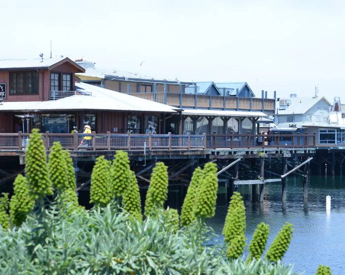 Vis bilde 53