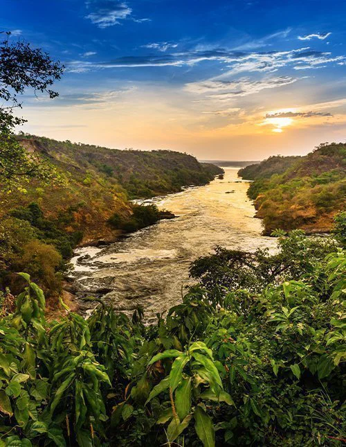 Murchison Falls nasjonalpark i Uganda